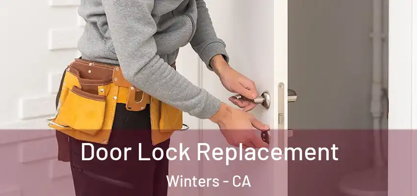  Door Lock Replacement Winters - CA