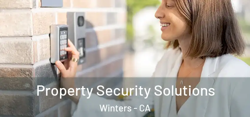  Property Security Solutions Winters - CA